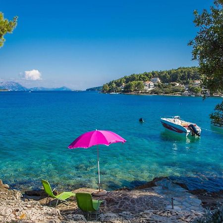 Apartments Villa Diha Korčula Værelse billede